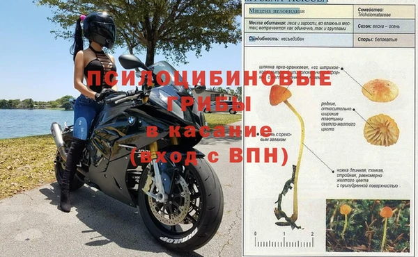 марки lsd Новокубанск