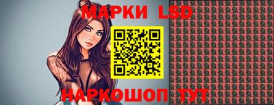 индика Обнинск