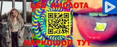 индика Обнинск