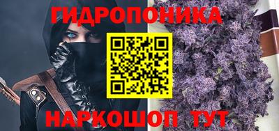 индика Обнинск