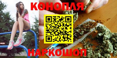 индика Обнинск