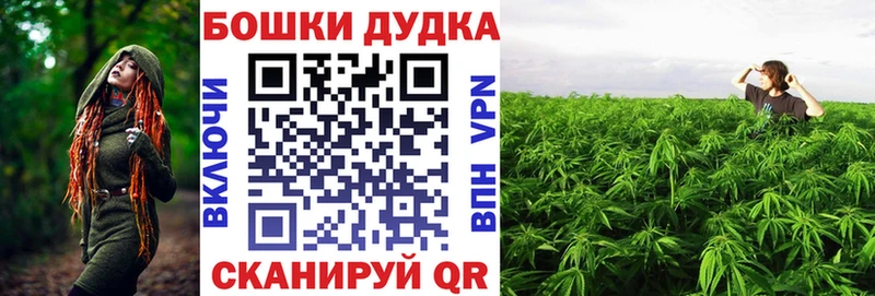 мега ONION купить наркоту Прохладный Конопля Bruce Banner