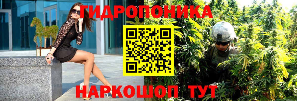 Марихуана Amnesia  Вход с VPN  Канабис AK-47  Бошки марихуана сатива  Марихуана ГИДРОПОН  Прохладный 